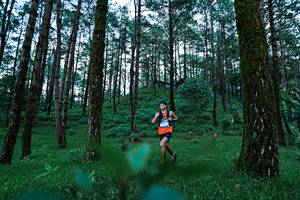 BIB: 
                            <button type="button" onclick="openModal(25020240)" class="btn btn-primary btn-sm float-right btn-popup" data-toggle="modal" data-target=".modal-high-quality">
                        <i class="fas fa-shopping-cart"></i> Add to Cart
                    </button>
                                            <button type="button" onclick="isThisMe(25020240, true)" class="btn btn-success btn-sm float-right btn-popup btn-isme hidden" data-toggle="tooltip" data-placement="bottom" title="นี่คือรูปของคุณใช่ไหม คลิกที่นี่เพื่อเอาเข้าอัลบั้ม">
                        <i class="fas fa-plus"></i> Add to album
                    </button>
                    <button type="button" onclick="isThisMe(25020240, false)" class="btn btn-warning btn-sm float-right btn-popup btn-isnotme hidden">
                        <i class="fas fa-ban"></i> Remove from album
                    </button>